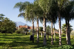 Live Santa Úrsula La Quinta - Image 3