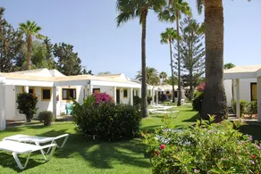 Bungalows Tajaraste - Image 4