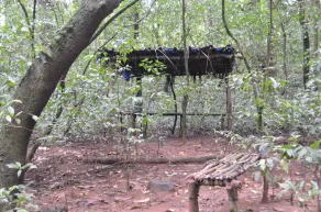 Mangaal Farmstay Goa - Image 5