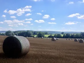 Gîtes L'Art d'une Pause - Image 5