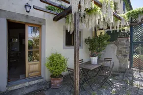 Il Sole Del Sodo - Image 3