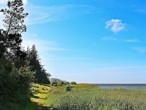 4 star holiday home in Ulfborg - Image 3