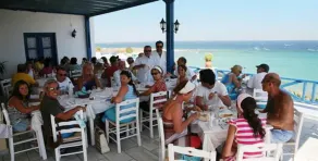 Blue Dolphin - Image 5