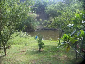 Pousada Recanto Dos Ipes - Image 3