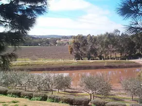 Patly Hill Farm - Image 5