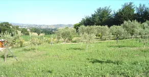 Agriturismo Relais La Scala Di Seta - Image 4