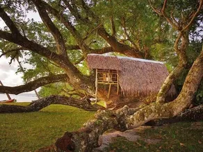 Port Olry Tree House Bungalow - Image 3