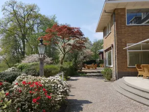 Wyllandrie - Image 3