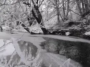 Newmill Farm - Image 3