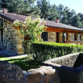 CTR Los Ranchales - Image 5