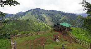 Portal de la Montaña - Image 5