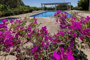 Captivating House with Shared Pool and Central Location in Gumusluk, Bodrum - Image 3
