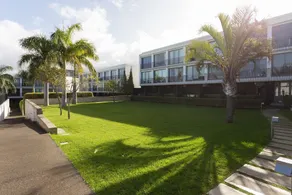 Live Santa Úrsula La Quinta - Image 4