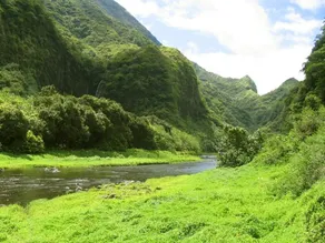 TAHITI - Chambre Hautia - Image 5