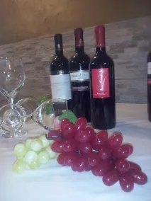 Albergo Villa Bianca - Image 2