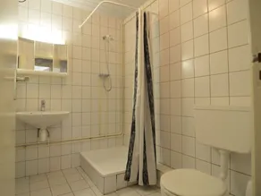 Homely Apartment in Schin op Geul with Terrace - Image 2