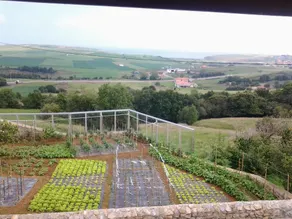 Albergue El Pino - Image 3