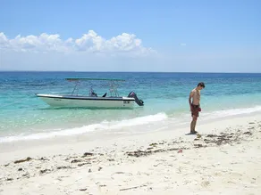 North Borneo Biostation Resort - Image 4