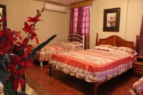 Dumas Villa - Image 4