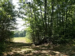 Tentrr - Valhalla Farm - Image 4