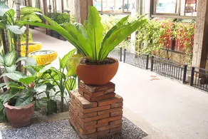 U-Sa Family Hotel - Image 3