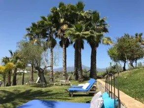 Finca La Luna Azul - Image 2