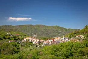 House Of Olive Trees, Relaxation And Wi-fi - Image 3
