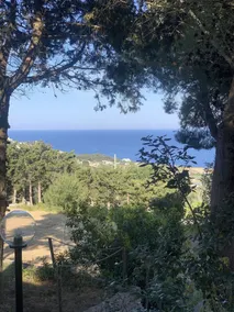 La Scogliera - Image 5