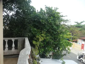 Yellow House Homestay - Image 3