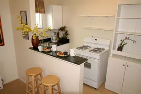 Beachfront Only Vacation Rentals - Image 3