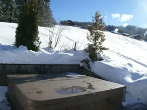 Chalet in Les Gets with Ski-In/Ski-Out Access - Image 4