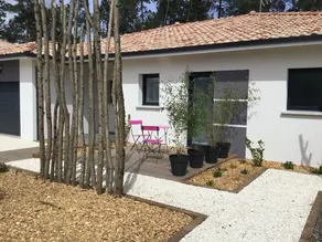 Cote Pinede - Image 5