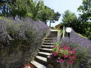 Beautiful Home With Terrace, Located in Nature - Image 3