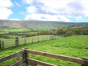 The Piggery - Image 4