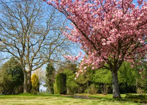 Normandy Getaways at Mis Harand - Image 4