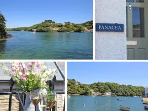 Panacea - Image 4