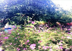 A O Guest House & Home Stay - Image 5