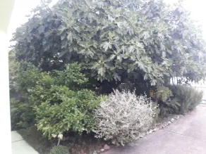 Green Hostel - Image 5