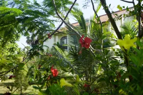 Shakti Vani Ayurvedic Resort - Image 3