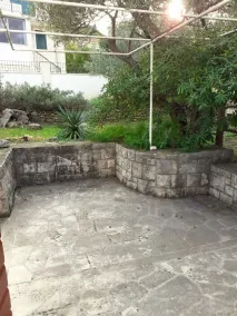 Olive 150 m From sea H - Image 5