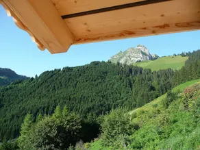 Chalet Le Chamois - Image 5
