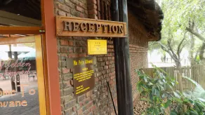 Golden Leopards - Manyane Resort - Image 5