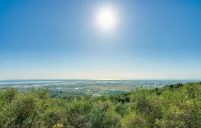I tre Olivi - Image 3