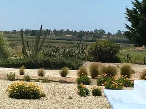 House With 4 Bedrooms in Comporta, With Enclosed Garden and Wifi - Image 5