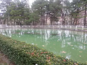 La Pardina - Image 3