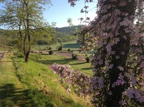 Serène - Image 5