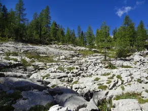 Balmy Apartment in Bohinjsko Jezero Near Lake - Image 3