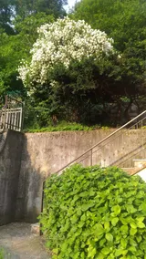 B&B I Ghiri - Image 4