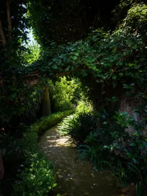 Villa Domenicale - Image 5