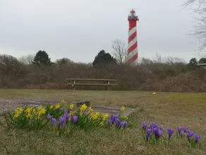 Holiday Home in the Dunes of Burgh-haamstede With a View of the Lighthouse - Image 4